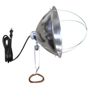 U.S. WIRE 30010USW 18/2 SJT 6' POLISHED ALUMINUM 10" BROODER/HEAT LAMP W/CAGE