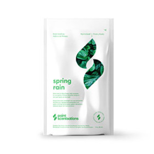 PAINT SCENTSATIONS 104-01 SRp 1 OZ SPRING RAIN PAINT ADDITIVE