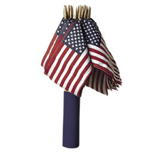 VALLEY FORGE USE12D 12" X 18" STICK FLAGS WITH BLUE MERCHANDISING CUP